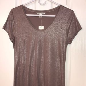 Banana republic shimmering top